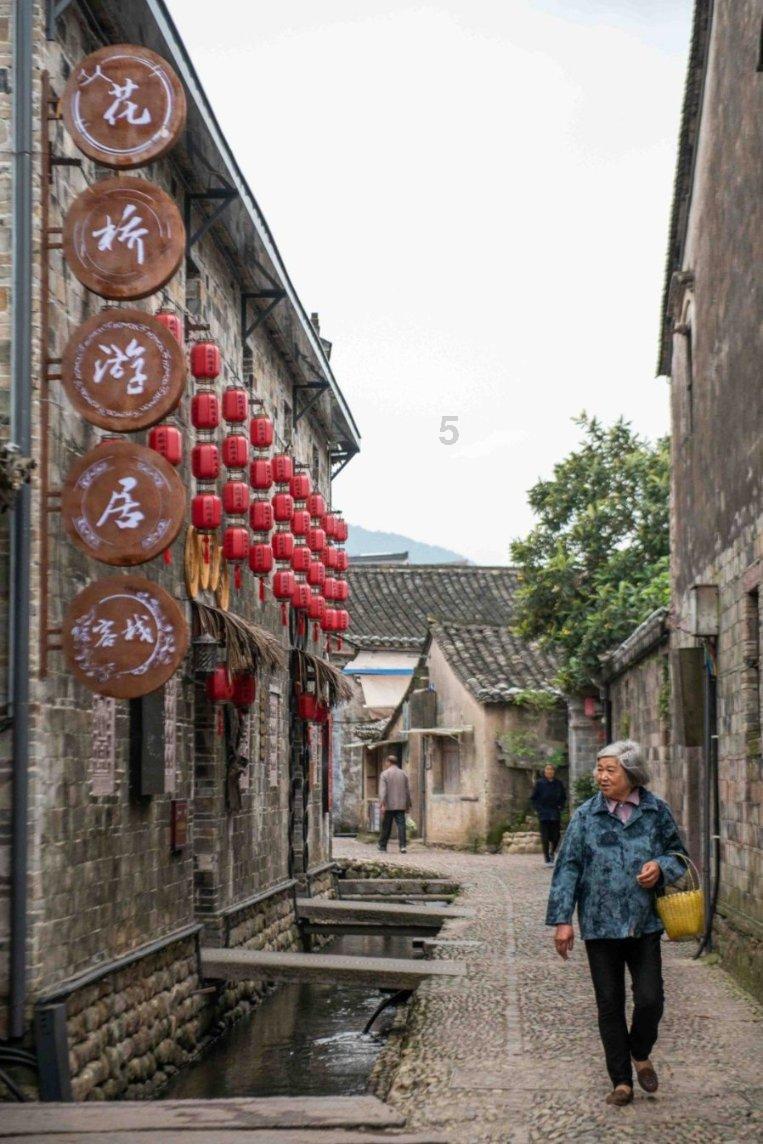 大白猫逃脱